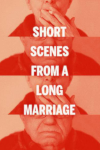Movie poster for Short Scenes from a Long Marriage (2011)