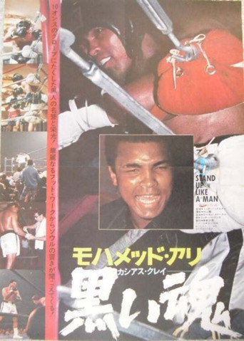 Movie poster for Black Soul (1974)