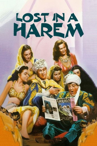 Lost in a Harem poster