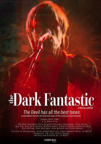 The Dark Fantastic poster