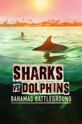 Movie poster for Sharks vs. Dolphins: Bahamas Battleground (2023)