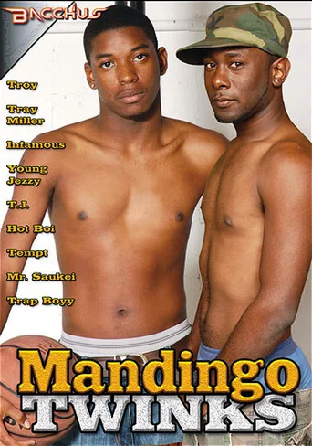 Movie poster for Mandingo Twinks (2011)