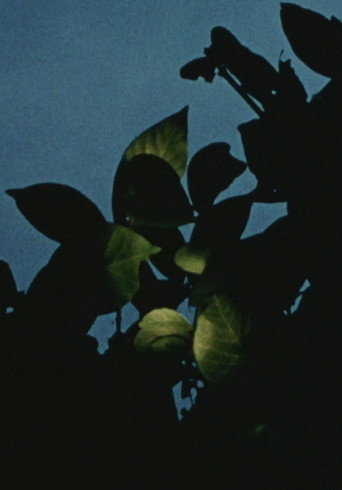 Movie poster for Earth Stone (1986)