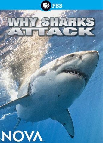 Movie poster for Why Sharks Attack (2014)