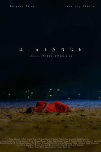 Movie poster for Distance (2023)