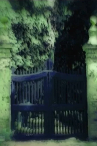 Movie poster for Villa fidelia (2007)