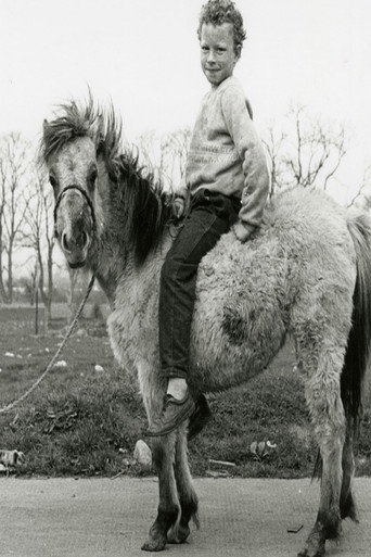 The Road to God Knows Where poster