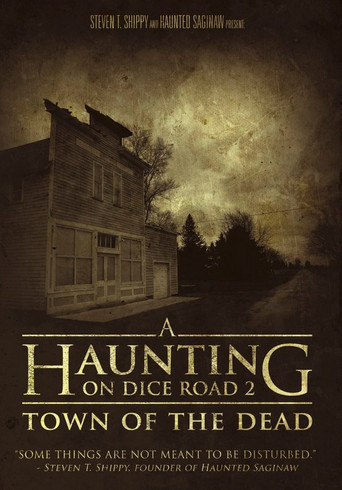 Movie poster for A Haunting On Dice Road 2: Town of the Dead (2017)