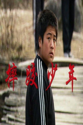 摔跤少年 poster