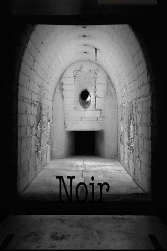 Movie poster for Noir (2023)