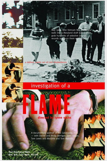 Movie poster for Investigation of a Flame (2002)