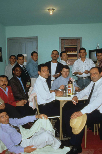 Movie poster for Os Raimundos, os Severinos e os Franciscos (1998)