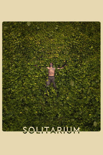 Solitarium poster