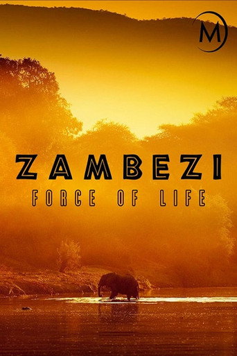 Movie poster for Zambezi: Force of Life