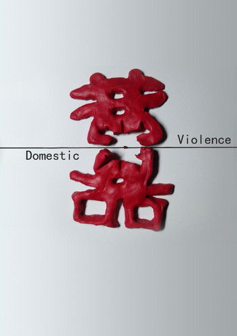 中国反家暴纪事 poster