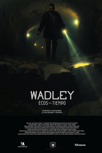 Wadley Station poster