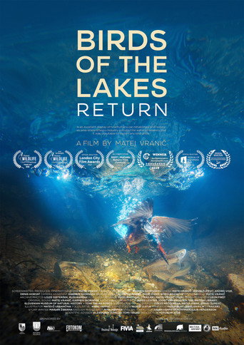 Movie poster for Birds of the Lakes Return (2018)