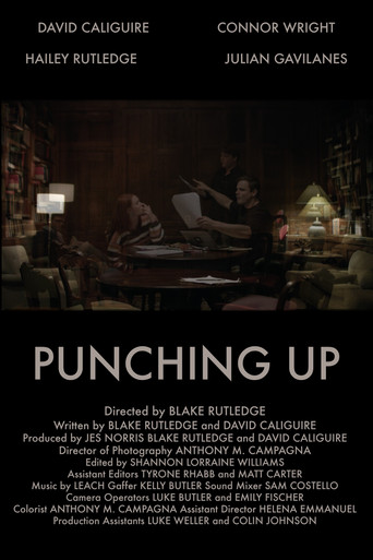Punching Up poster