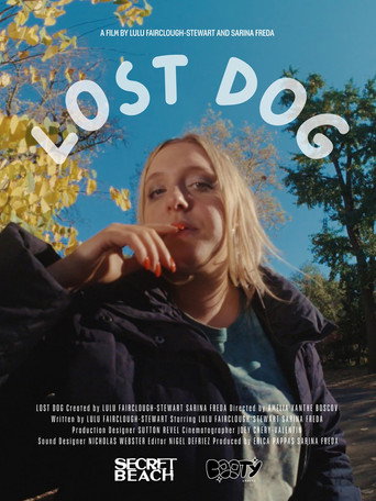 Movie poster for Lost Dog