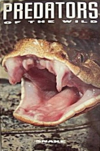 Movie poster for Predators of the Wild: Snake (1993)