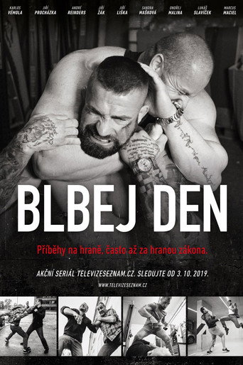 Blbej den poster