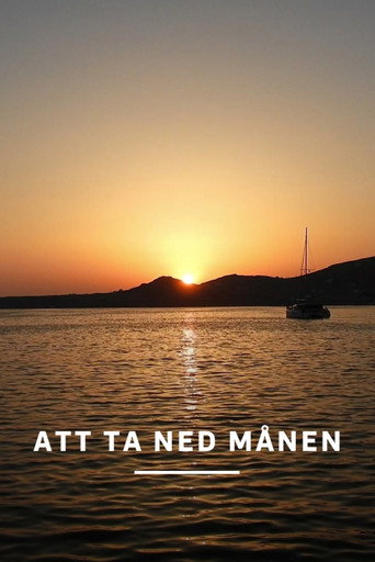 Movie poster for Att ta ned månen (2024)