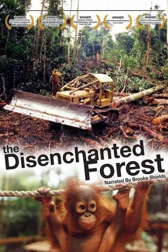 Movie poster for Disenchanted Forest (2002)