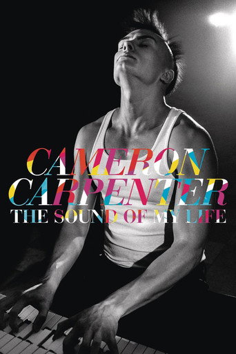 Movie poster for The Sound of My Life (2014)