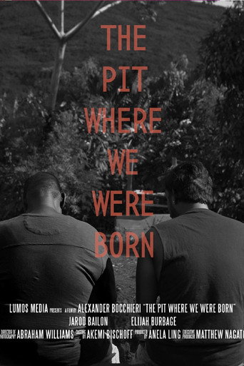 Movie poster for The Pit Where We Were Born (2020)