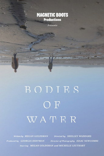 Movie poster for Bodies of Water