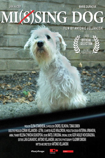 Movie poster for Mi(s)sing Dog (2019)