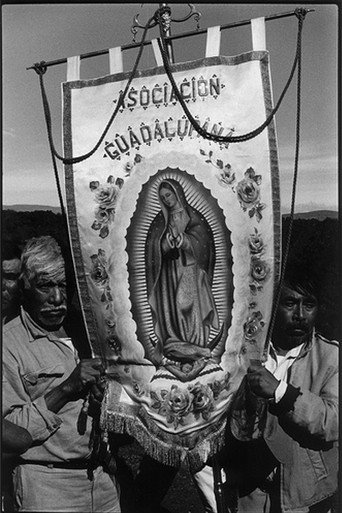 Movie poster for A Long Journey to Guadalupe (1996)