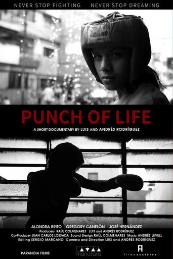 Movie poster for Punch of Life (2021)