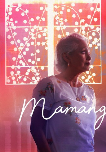 Movie poster for Mamang (2018)