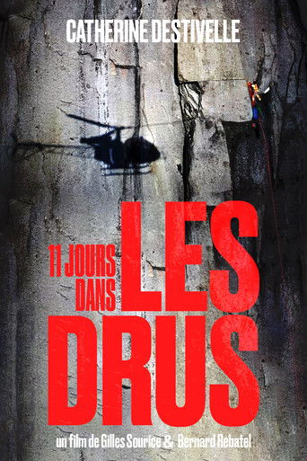 11 Days in the Drus poster