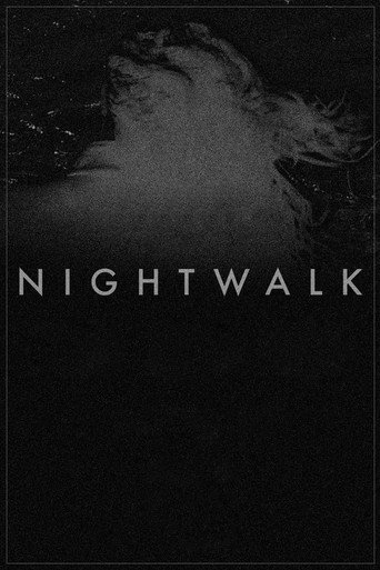 Movie poster for Nightwalk (2013)