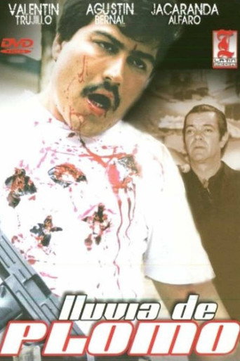 Lluvia de plomo poster