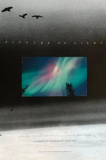 Movie poster for Picture of Light (1994)