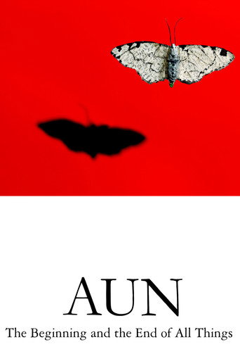 Movie poster for AUN: The Beginning and the End of All Things (2011)