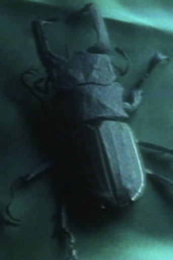 Movie poster for Entomologist (1995)