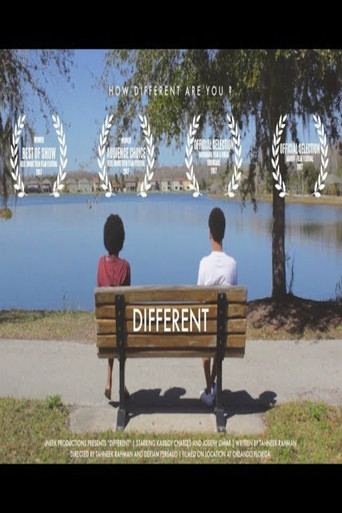 Movie poster for DIFFERENT (2017)