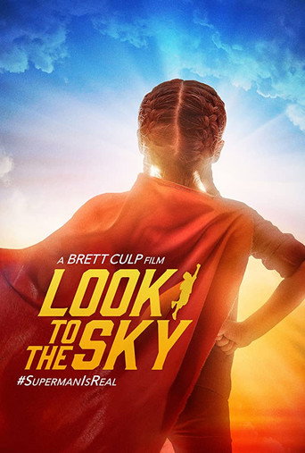 Movie poster for Look to the Sky (2017)