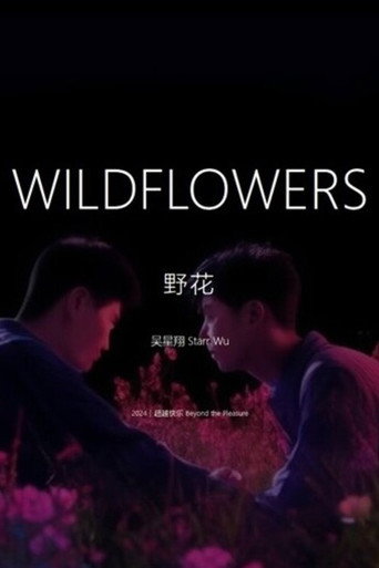 Movie poster for Wildflowers