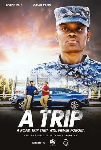 Movie poster for A Trip (2021)