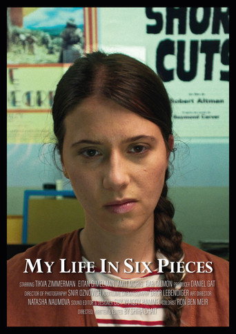 Movie poster for My Life in Six Pieces