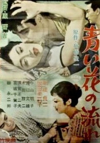 Movie poster for Her Hoodlum Lover (1957)