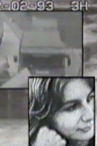 Movie poster for Surveillance (1993)