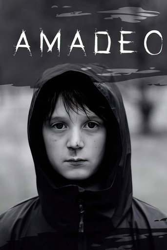 Movie poster for Amadeo (2019)
