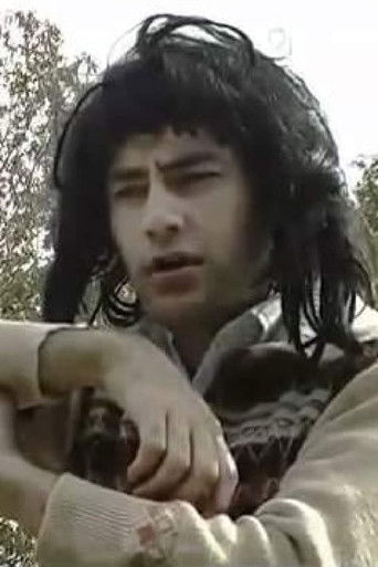 Falling Leaves poster