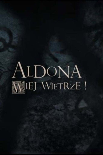 Movie poster for Wiej Wietrze! (2010)